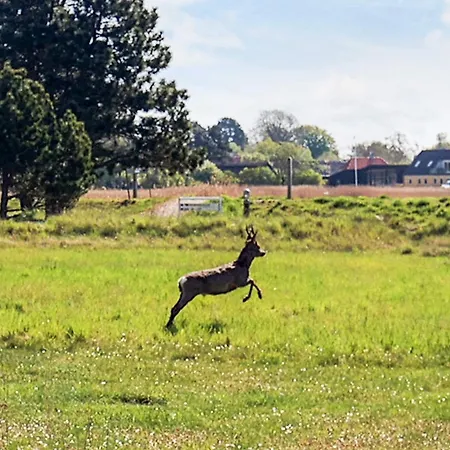 Nyaraló 5 Person On A